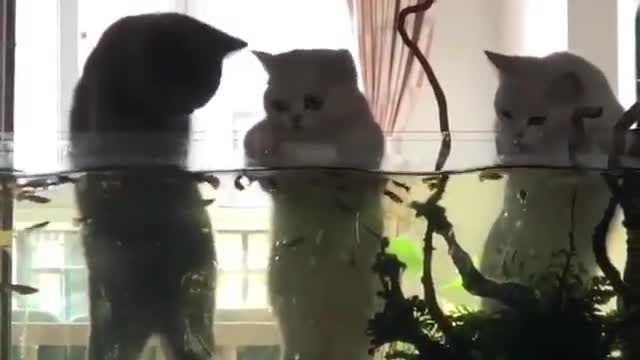 Fishing with friends.