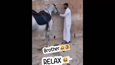 Bast Funny content video 😅