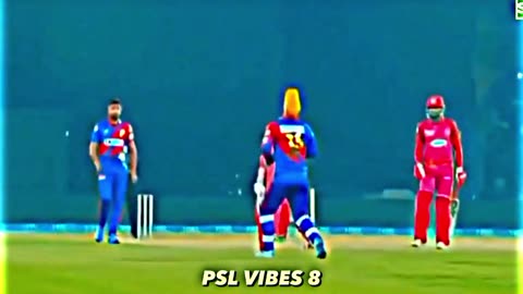 Cricket 🏏