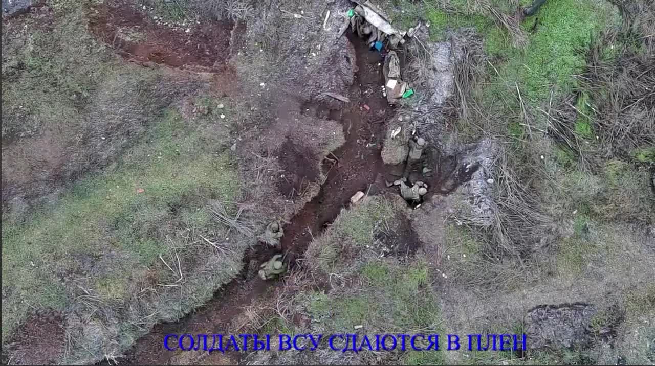 Ukrainian Nationalists surrender