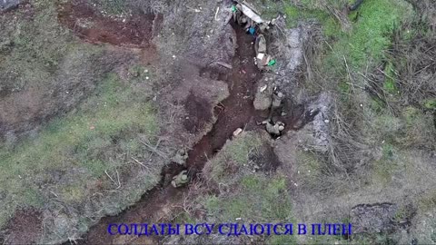 Ukrainian Nationalists surrender