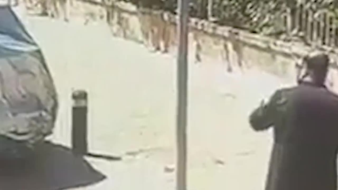Israeli spits at Christian clergymen in Jerusalem