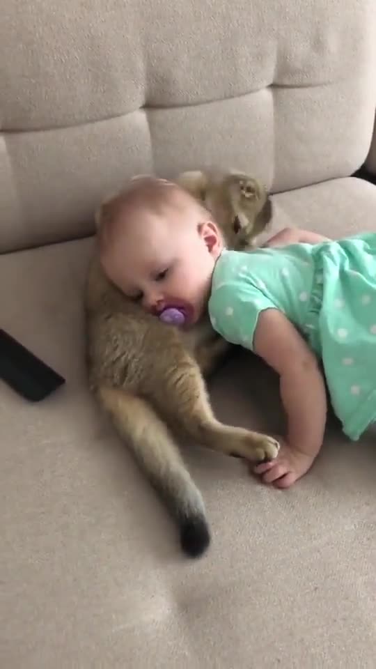 Baby with cat