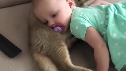 Baby with cat