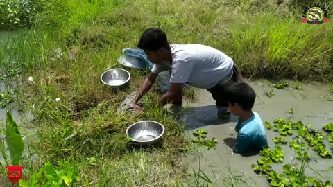 Extraordinary Bill Irrigation Fishing Video | Fish Catching