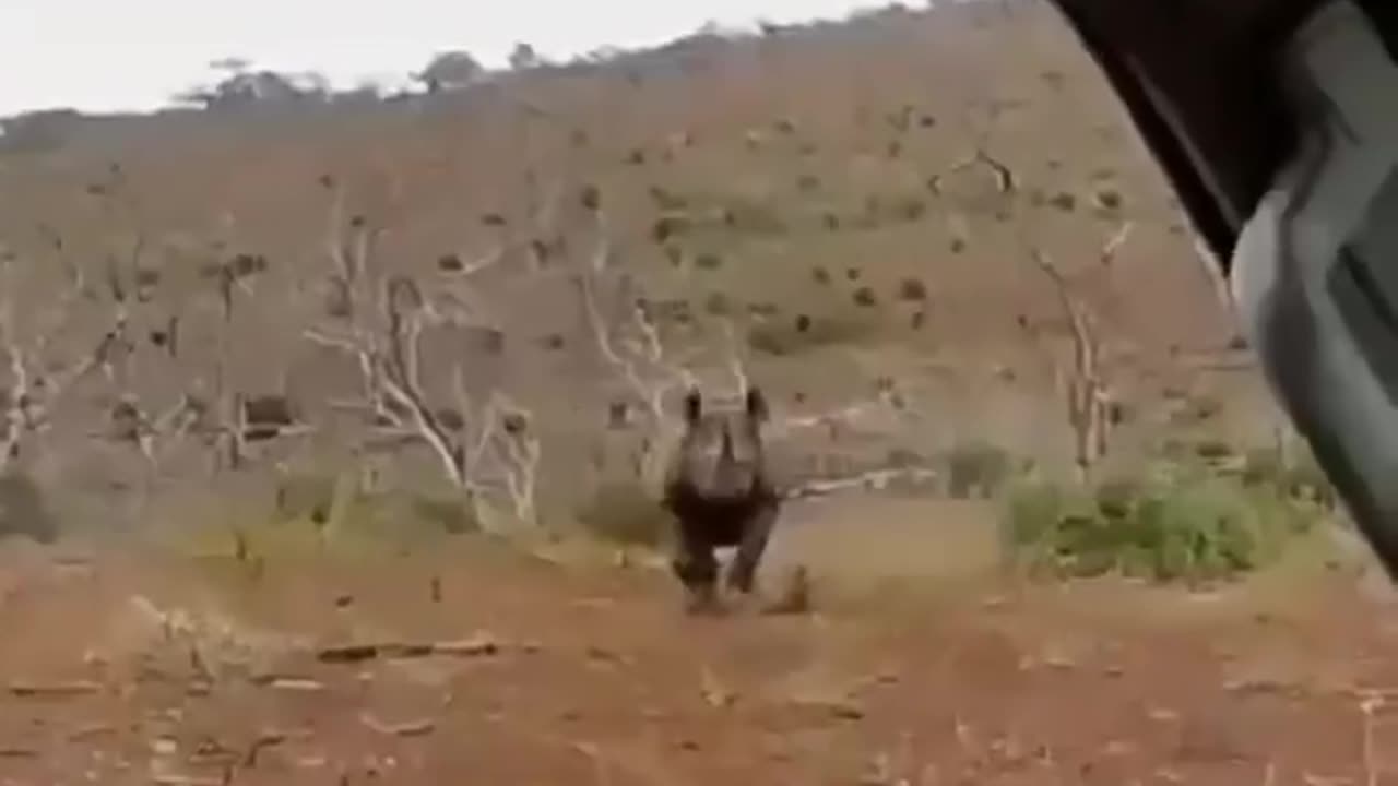 Animals angry on human being 😢