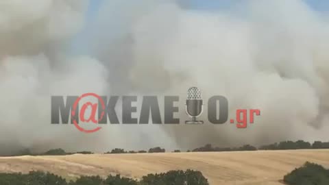 Φωτιά στον Απαλό Αλεξανδρούπολης