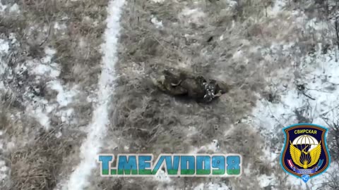 Ivanovo Paratroopers Storm a Ukrainian Stronghold