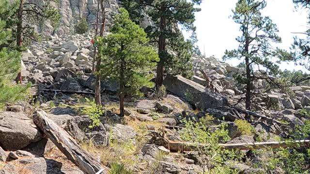 Day 17 Devils Tower