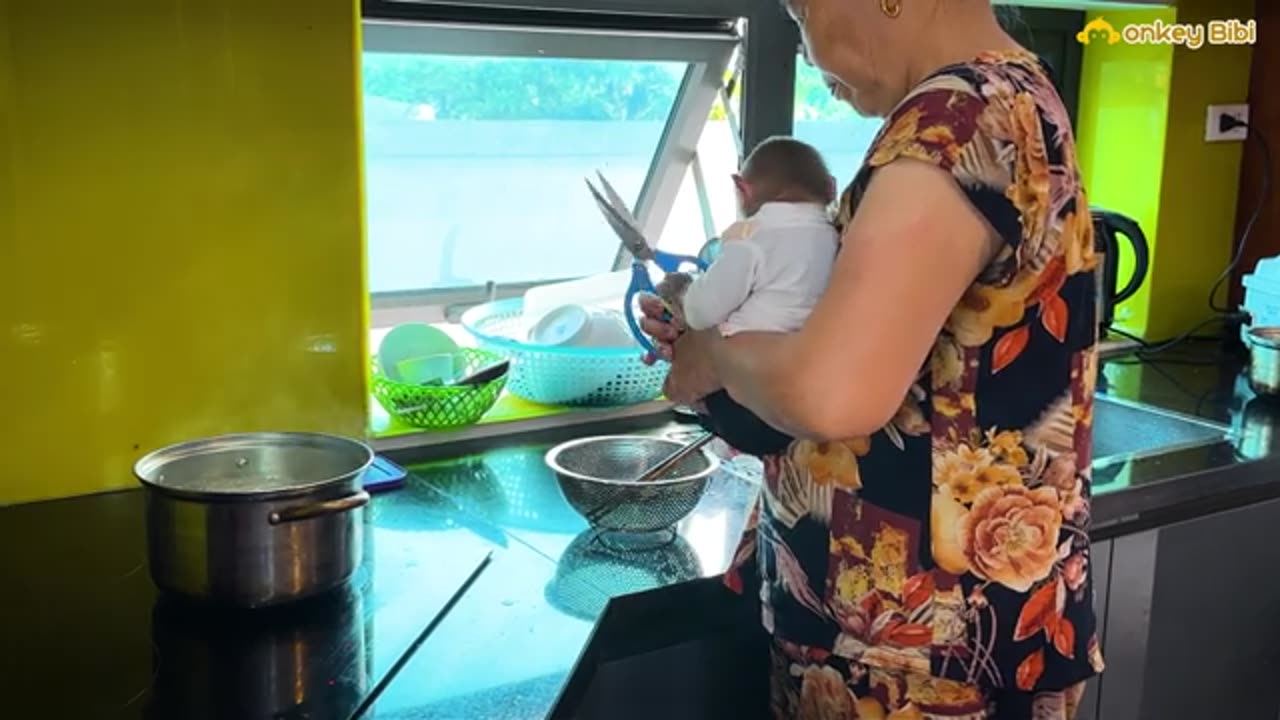 bi doesn't like to eat melon so he harvests dragon fruit to enjoy!