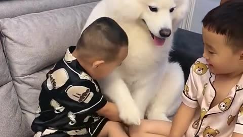 Faithful dog brings an umbrella to a child