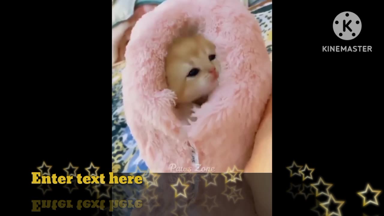 Small cute and very cute babby