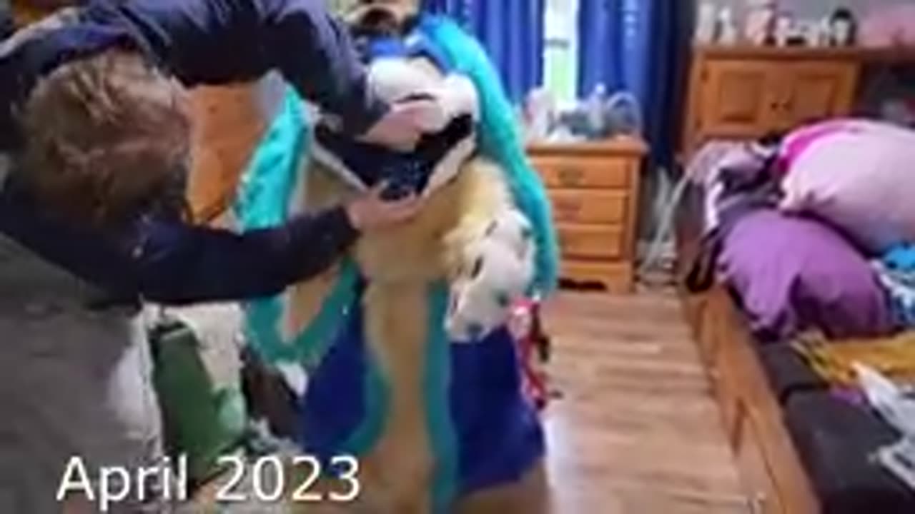 6 Year Old In Full Fursuit