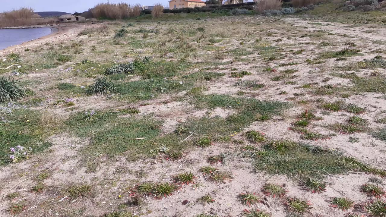 Walking at the beach 🚶‍♂️🌴