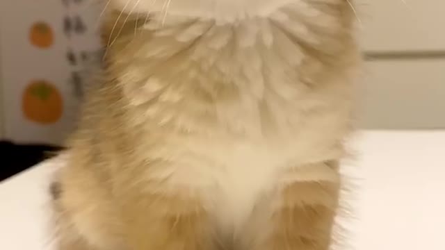 Your voice tells me you're hungry