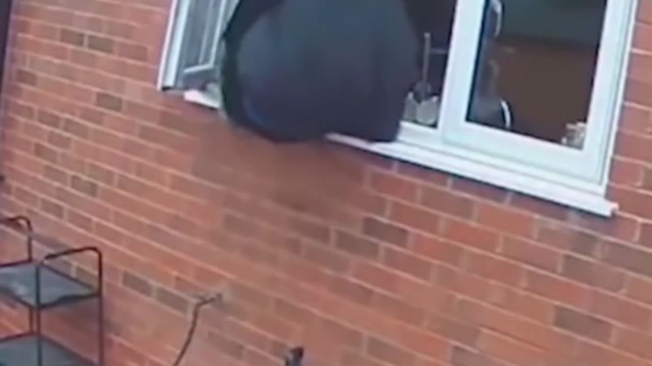 Clueless burglars caught breaking into home