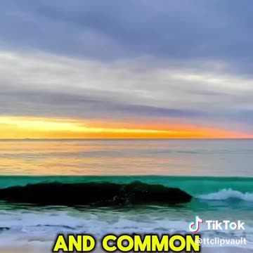 200 proofs the earth is not a spinning ball.