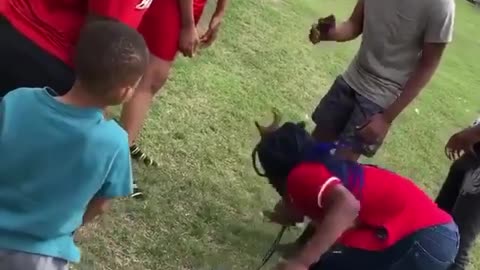 day 3,000 of quarantine