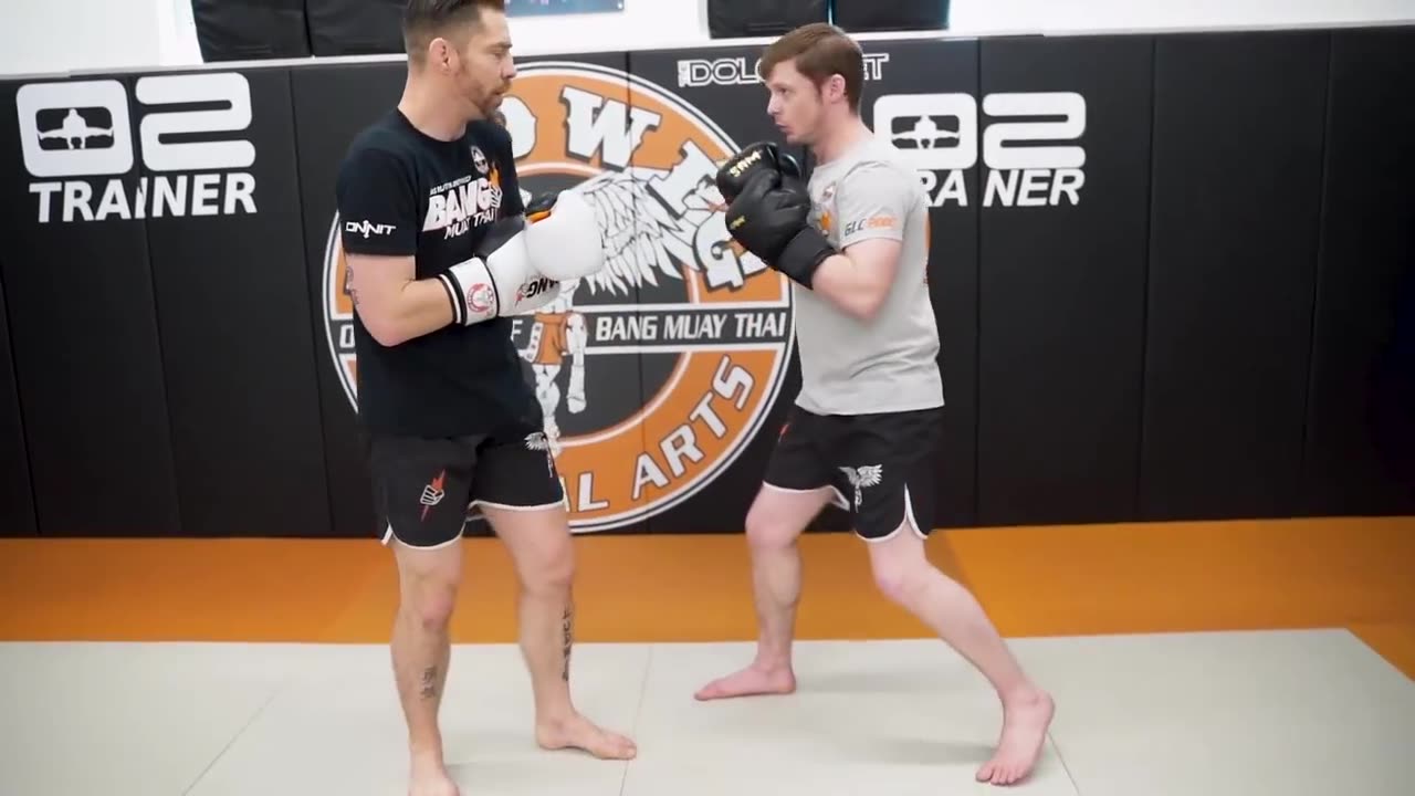 Duane Ludwig Switch Series