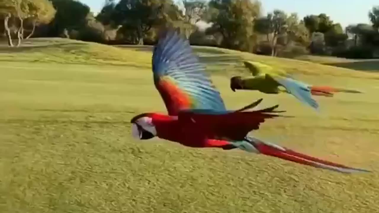 The nature of the world #2