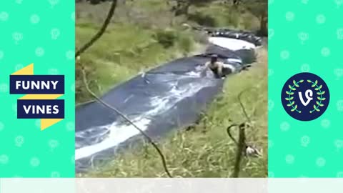 Best Funny Videos 2020 ● People doing stupid things