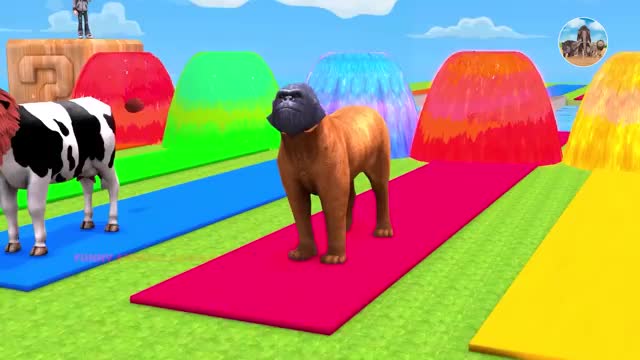 Wrong Heads Wild Animals With Cow Tint, Gorilla Choose Right Fountain Crossing_Cut