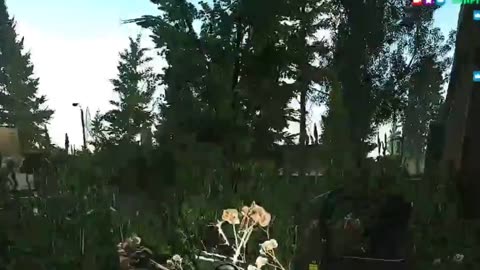 Do you think it worked? 