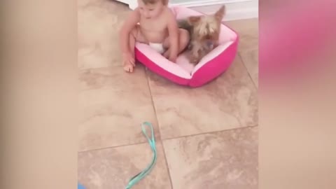 Kid Likes to Huddle with Dog