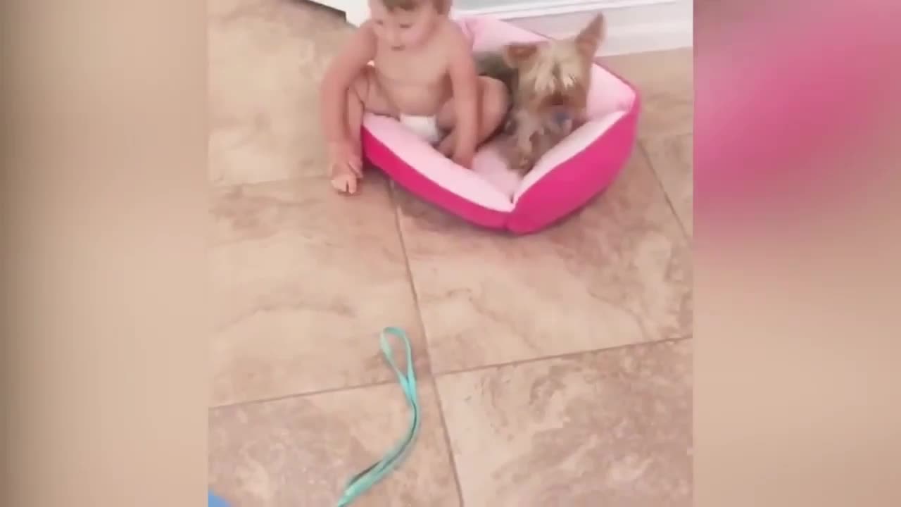 Kid Likes to Huddle with Dog