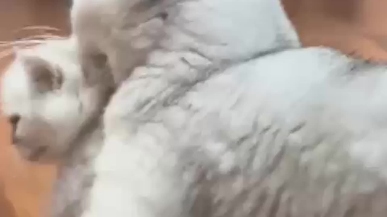 Mother Take care Of his Baby
