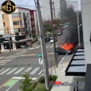 Welcome to the jungle