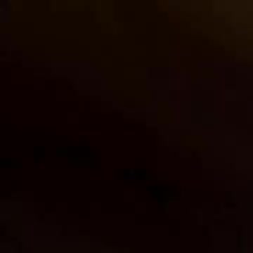 Football Dog Goes For A Touchdown!