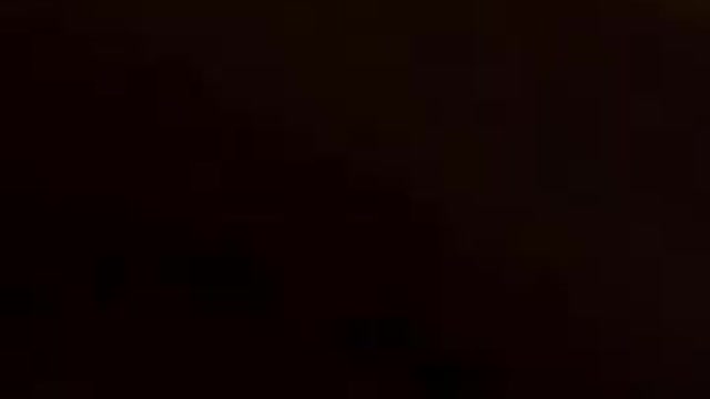 Football Dog Goes For A Touchdown!