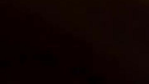 Football Dog Goes For A Touchdown!