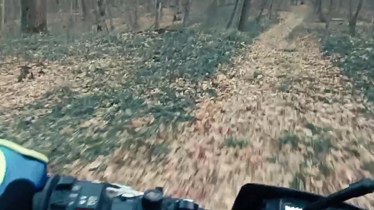 Pov ride on motorcycle in forest