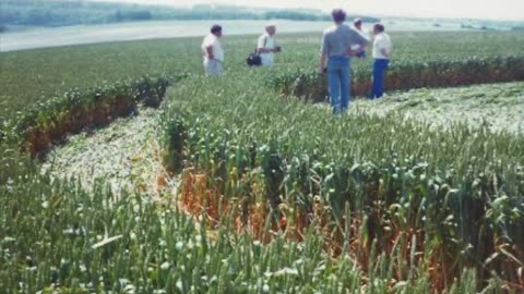 Debunking the Bower & Chorley Story why Crop Circles aren't all Hoaxes