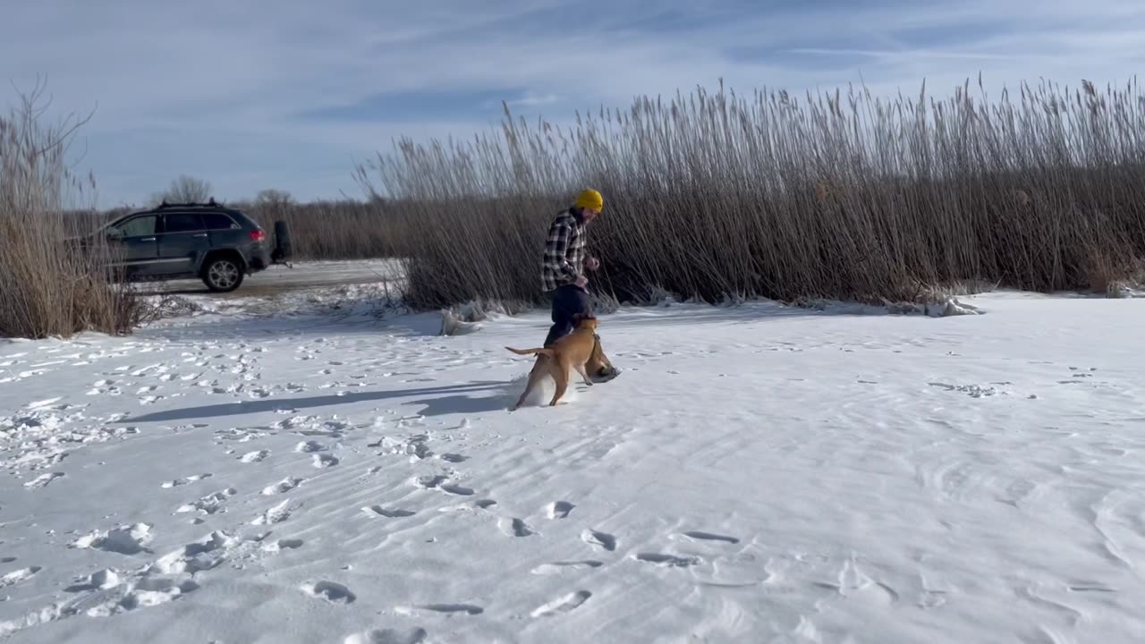 Frozen Banner Marsh - January 2024