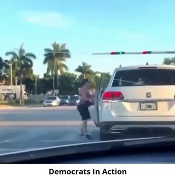 Democrat In Action - Democrats Tend To Have Mental Health Issues
