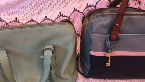 Comparison between the Fossil Sydney & The Fossil Rachel Satchel Bags