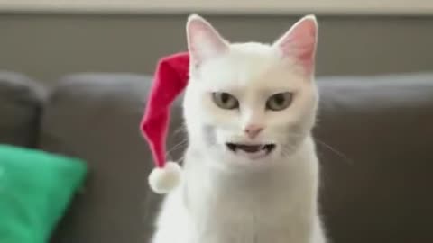 Baby funny video