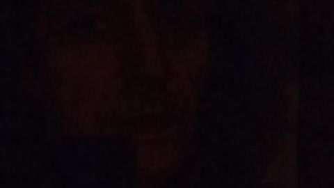 The Clown Show Continues