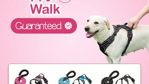 Keep your pup safe and stylish with our Collars Dog Leash! 🐾