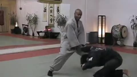 World Martial Arts Center Brooklyn N.Y.
