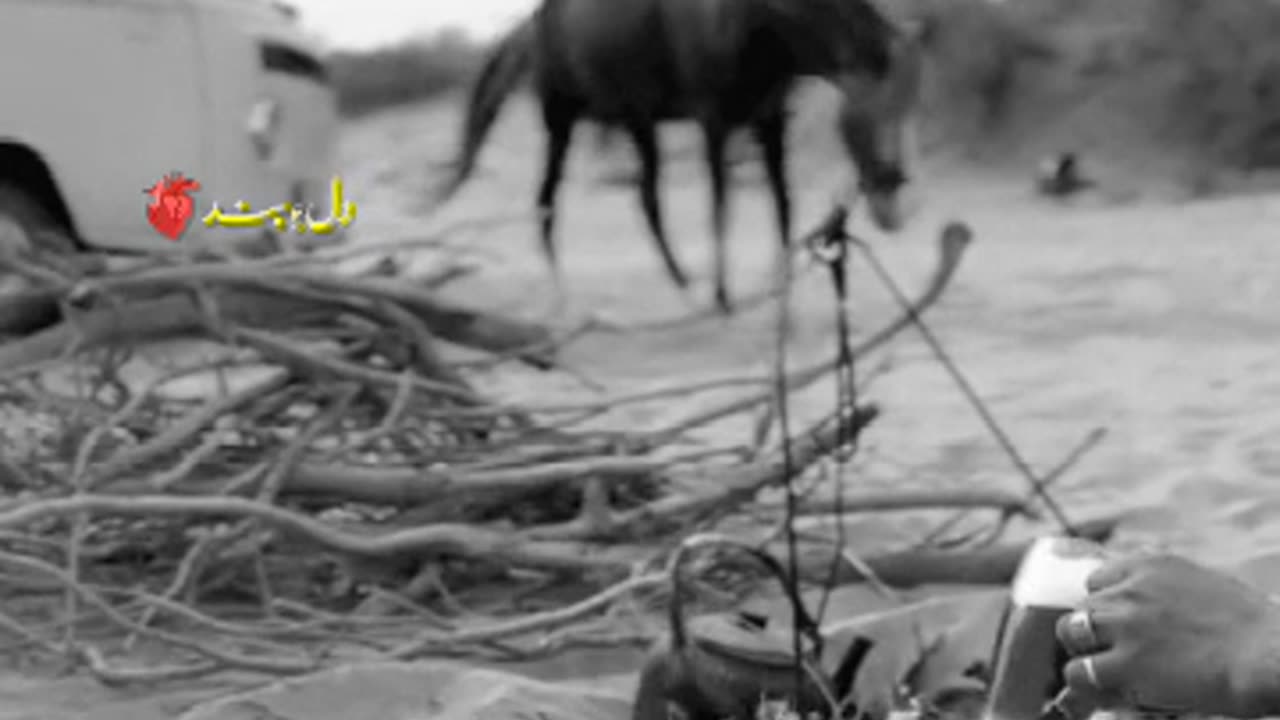 Old Urdu song..meri zingdi main too h..
