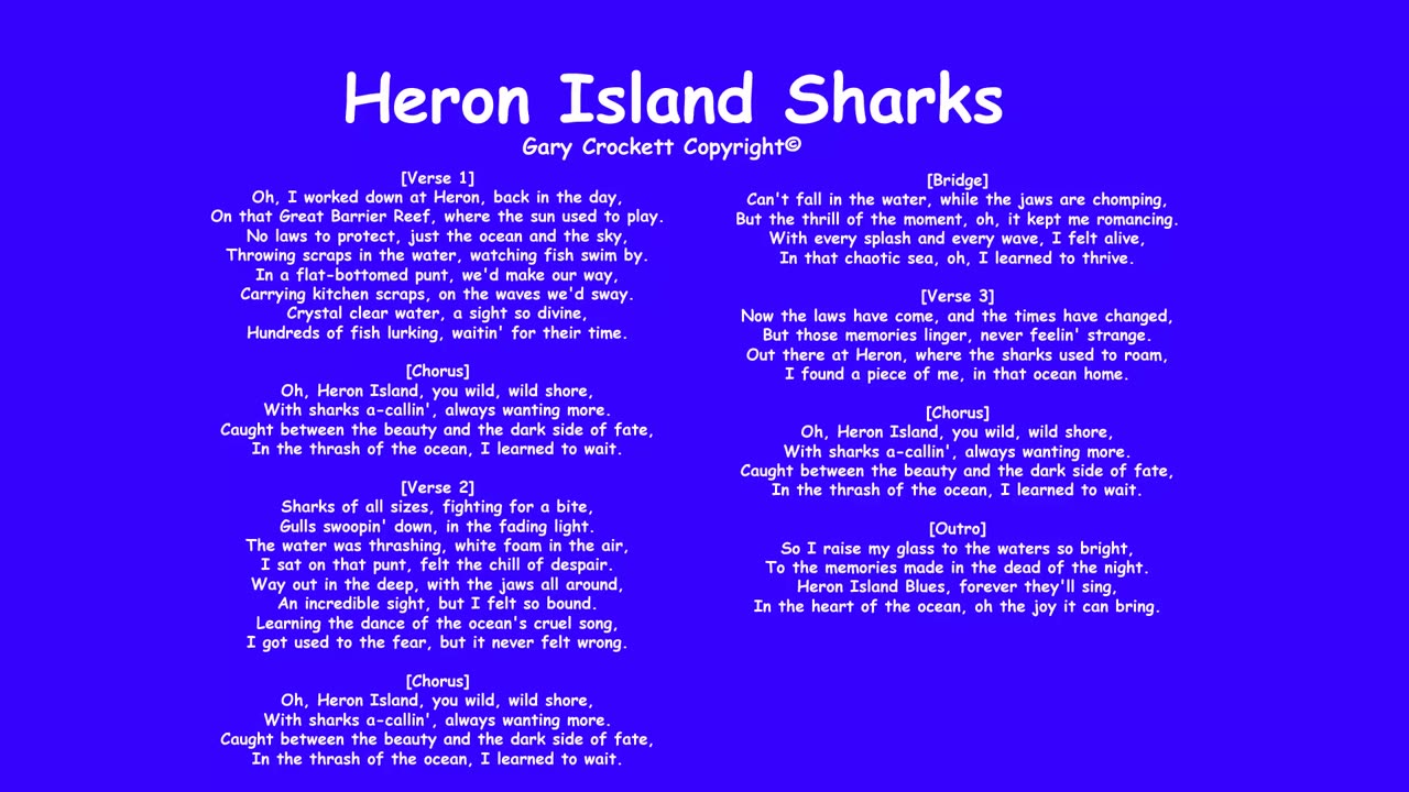 Heron Island Sharks