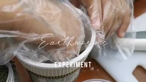 Experiment on Earthworm Behavior_Cut