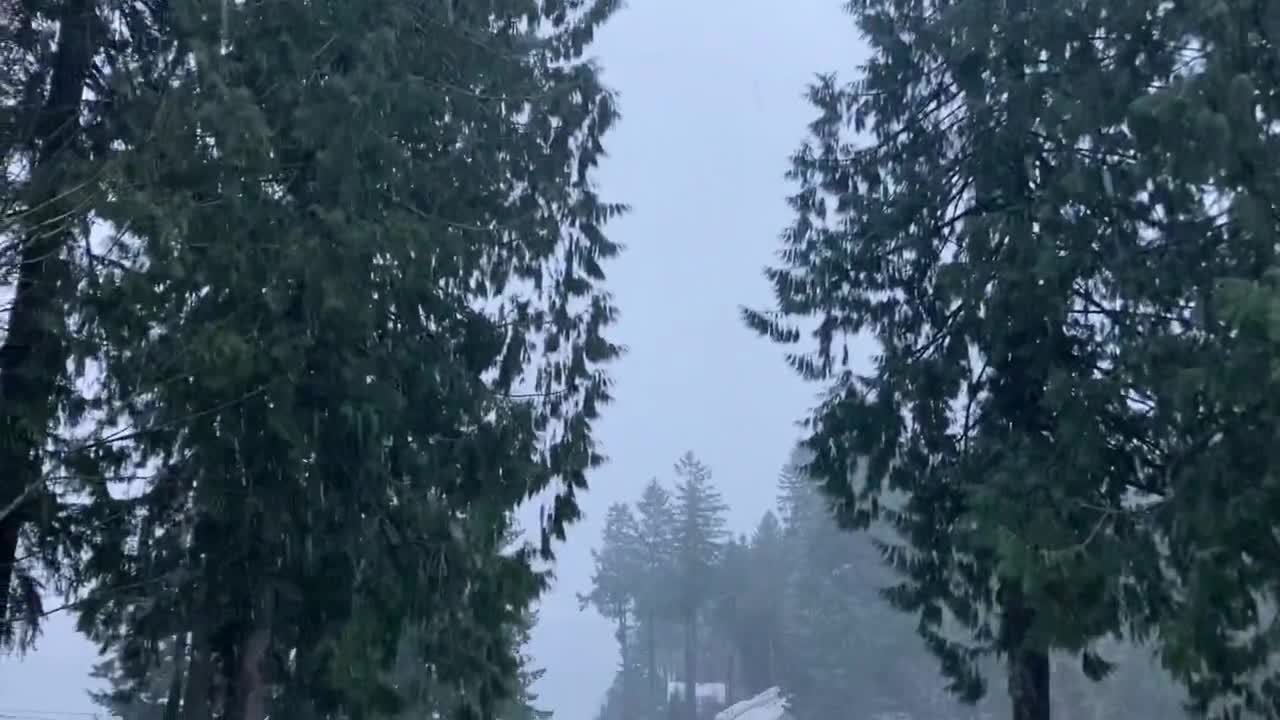 Virtual White Christmas