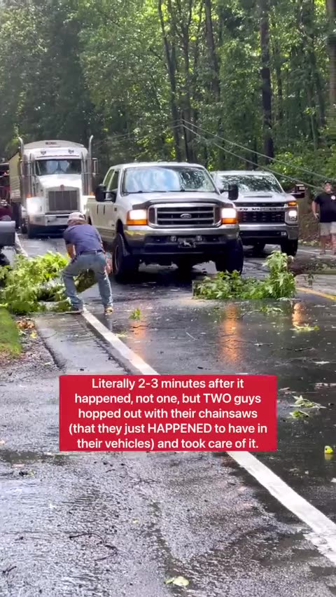 If a tree falls in Alabama, will some good ol’ boys w/chainsaws in their trucks clear it in 10?