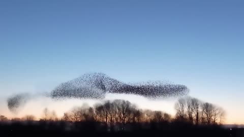 Momentos increíbles en la naturaleza 😨