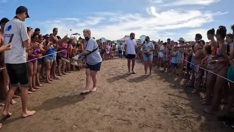 SHELL OF A LESSON: Rescued Endangered Turtles Teach Beachgoers Grim Truth Of Pollution